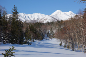 本日はこの新しい山を登ります。いやー遠いなー。