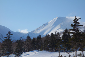 帰り道。西日に照らされた僕らのライン。あそこから滑ってきたんだと感無量。