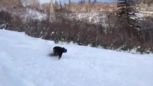 november snowboarding in sapporo