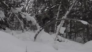 Day of the clip Yuta Kiyohara 2015