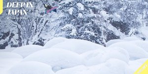 Victor De Le Rue Rides Deep, Fluffy Powder in Japa...