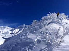 天気がいいとシャッターを切る手にも勢いが増します。うえさんに前を歩いてもらって、奥の山に見とれる。