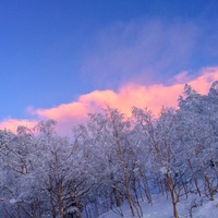 ピンクの雲まで見せてくれました◎