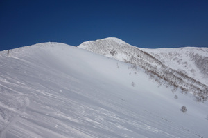 まだまだ魅力的な斜面がたくさん。ただし連日の晴れで雪質はしっとりパウダー。