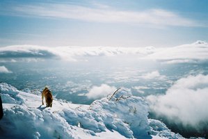 yutaの愛犬、ハルもピークtoボトムを狙いに