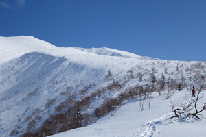 どでかい尾根をひたすら歩きます。スケールが大きくなかなか着かない。海風びゅーびゅー。