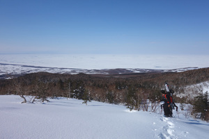 やっと出てきた森林限界。見下ろすと流氷の海もくっきり。尾根の雪質はGOOD！
