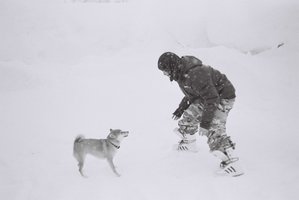 撮影の前後、合間にはるちょはみんなと遊んでいます。