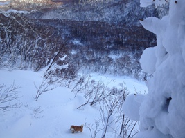 僕も滑るーと思ってるのかな？
HARUCHO