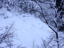 超滑りずらそうな斜面をよく見て、どこをどう滑るかよく考えます。飛ぶかなどうかないけるかな。